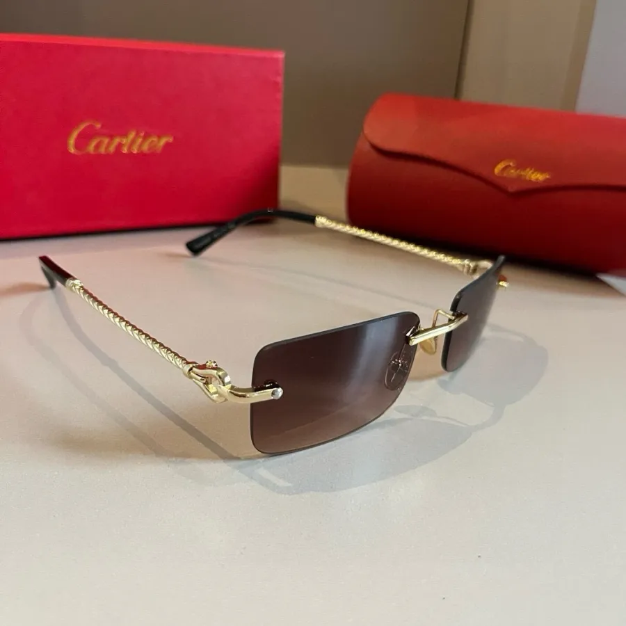 Cartier Sunglasses with Gold-Tone Frame and Red Case
